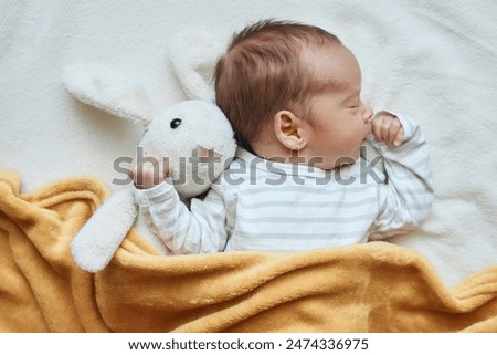 Similar – Image, Stock Photo Cute infant baby boy playing with hanging ball, crawling and standing up by living room table at home. Baby activity and play center for early infant development. Baby playing at home.