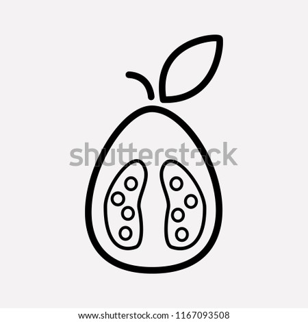 Guava icon line element. Vector illustration of guava icon line isolated on clean background for your web mobile app logo design.