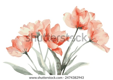 Image, Stock Photo Peach Tulip Petal Flower