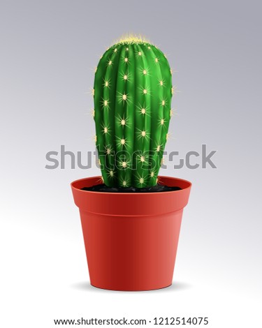 Green cactus in a pot, home plant, flower, exotic, tropics. Realistic vector flower. EPS10