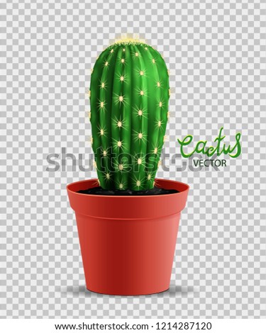 Green cactus in a pot isolated on transparent background, home plant, flower, exotic, tropics. Realistic vector flower. EPS10