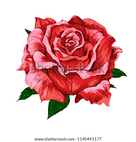 Red Rose Flower Art | Download Free Vector Art | Free-Vectors