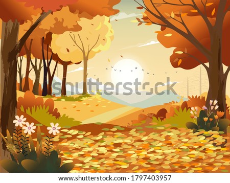 Autumn landscape wonderland forest with grass land, Mid autumn natural in orange foliage, Fall season with beautiful panoramic view with sunset behind mountain and maples leaves falling from trees 