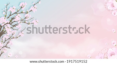 Spring apple blossom on blue and pink pastel sky background, Vector illustration Blossoming branches pink sakura flowers on springtime with falling petals, Sweet background for spring or Summer sale