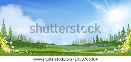 Spring landscape with grass field, blue sky and fluffy clouds,Panorama farm land,fresh and peaceful rural nature in springtime in the morning, Cartoon vector illustration for spring and summer banner