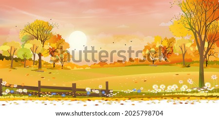 Autumn rural landscape farm fields and forest trees with orange sky sunset, Vector cartoon background fields harvest, Peaceful scenery of natural countryside with sunrise for fall season background