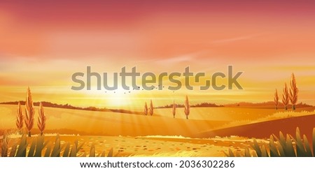 Autumn rural landscape in evening light with sunset, yellow,pink,orange sky background,Vector Cartoon fall season at countryside with forest tree and grass field with sunrise,Backdrop natural banner 