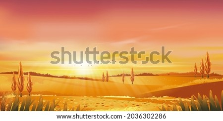 Similar – Image, Stock Photo Sunset Sunrise In Pine Forest. Dark Black Spruce Trunks Silhouettes In Natural Sunlight Of Bright Colorful Dramatic Sky. Sunny Coniferous Forest