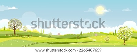 Spring landscape background,Cute Village with meadow, rural road on hill, blue sky ,could in sunny,Vector cartoon horizon Summer landscape, Panoramic countryside with mountains with wild flowers field