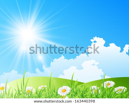 Vector illustration of field of daisies with bright sun