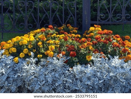 Similar – Foto Bild Zwei unterschiedliche Gartenzäune an einer Ecke