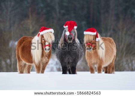 Similar – Image, Stock Photo Three Christmas caps