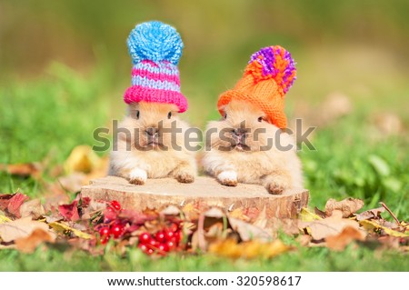 Two Little