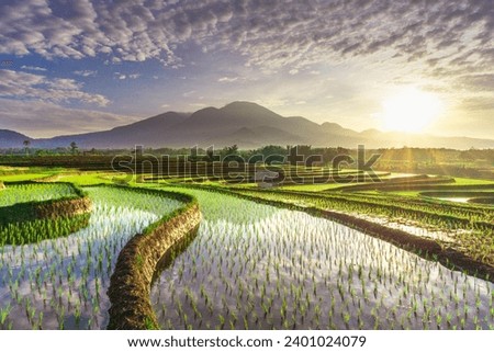 Similar – Foto Bild die Reisfelder im Norden Thailands