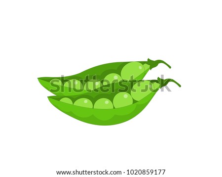 Green Peas in a Pod Vector