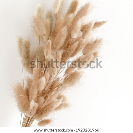 Similar – Image, Stock Photo Dried bouquet of flowers