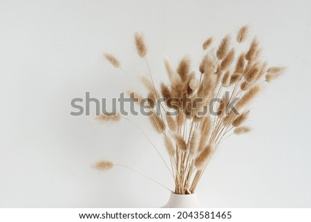 Similar – Image, Stock Photo Rabbit tail grass dry flower bouquet