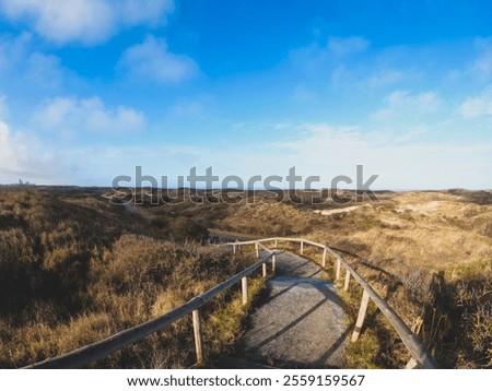 Similar – Foto Bild Dünenlandschaft mit Moos und Gras am Vormittag auf der Insel Sylt