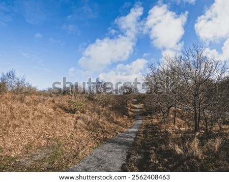 Similar – Foto Bild Dünenlandschaft mit Moos und Gras am Vormittag auf der Insel Sylt