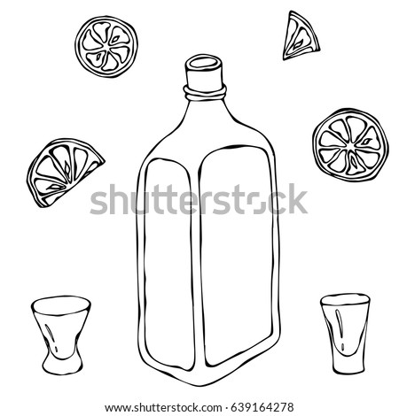 Whiskey Cognac or Brandy Bottle and Shot Glass Sketch. With Citrus. Drink Time Hand Drawn Vector Illustration.
