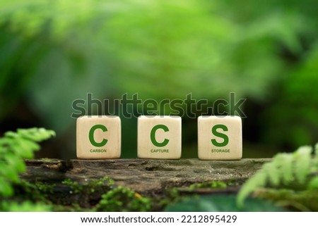 CCS acronym for Carbon Capture Storage words CCS on a wood block on the environmental background. Net zero action concept. Save energy, green energy, reduce carbon footprint, carbon capture. Foto d'archivio © 