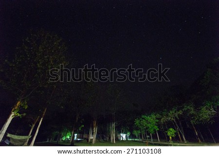 camping at night , Huai Kha Khaeng Wildlife Sanctuary, Thailand, World Heritage