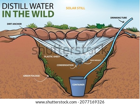 illustration of solar water still, how to distill water in the wild infographic - vector 商業照片 © 