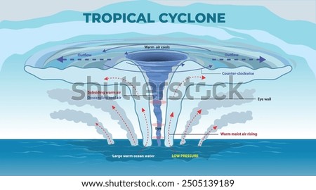 illustration of tropical cyclone diagram - vector