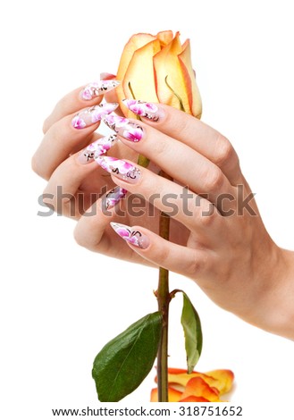Two hands of the girl with beautiful nails hold a rose, on a white background