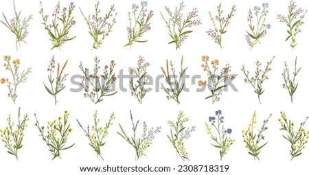 Similar – Image, Stock Photo Branches with spring flowers in the rain at the lake with rain tropics