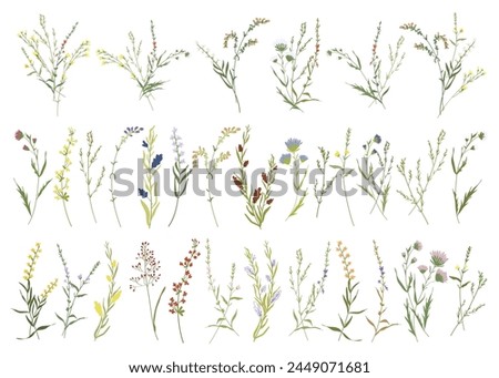 Image, Stock Photo Small white flowers on a light blue background