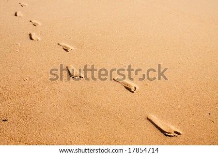 A row of foot prints on the beach sand leading towards the viewer