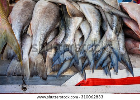 Sao Paulo, Brazil - 15 August, 2015 - fresh fish tails in a street market stall.