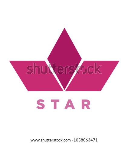 Concept Casual Flat Half Star Logo
