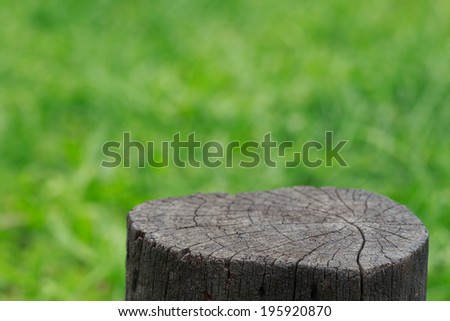 Old timber texture and trunk  on green grass blur background