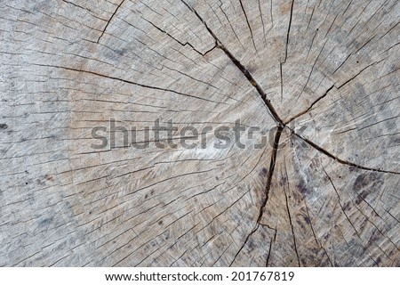 Life clock was end  and  change to   timber and trunk  texture strip