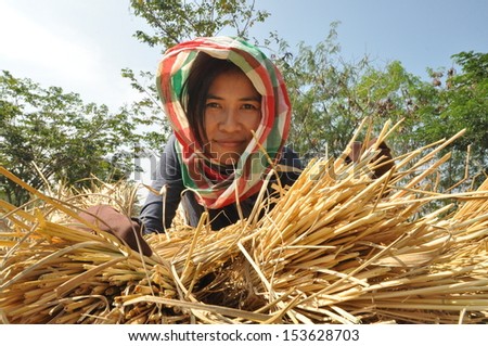 hard working woman smile  in the fields