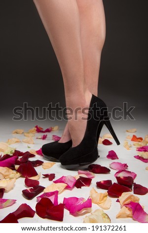 Beautiful Woman Legs. Attractive woman legs with black high heels on red roses petals