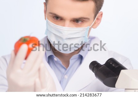 man looking at tomato and wearing mask. Cell culture assay to test genetically modified vegetable