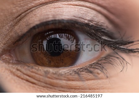 Close up portrait of woman brown eye. Female eye with long eyelashes close up