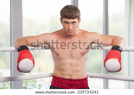 Handsome muscular young man wearing boxing gloves. waist up of boxer man looking into camera