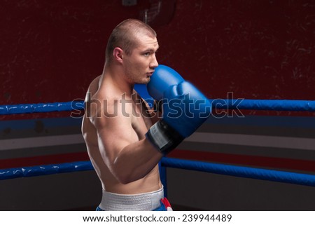 Handsome muscular young man wearing boxing gloves. Boxer with blue gloves in blue ring