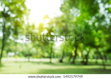blurred photo Lawn and trees green background with Beautiful lawn The shadows of the shrub are grassy smooth clean.