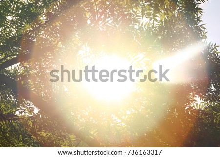 Similar – Image, Stock Photo Flashing in the garden at night