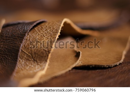 Similar – Image, Stock Photo Craftsman working with book and paper knife