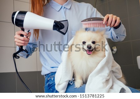 Similar – Image, Stock Photo drying the dog with a towel