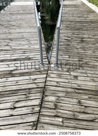 Similar – Image, Stock Photo Ordered nature: parallel aligned trees in the snow