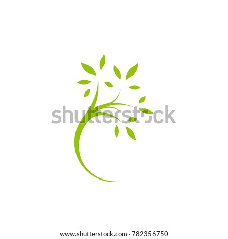 Similar – Image, Stock Photo Curved branch of a rosebush in front of a white wall