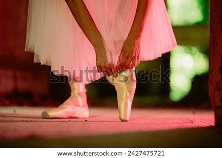 Similar – Image, Stock Photo Anonymous ballerina performing dance against white wall