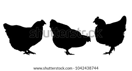 silhouette coq chicken silhouette png stunning free transparent png clipart images free download silhouette coq chicken silhouette png